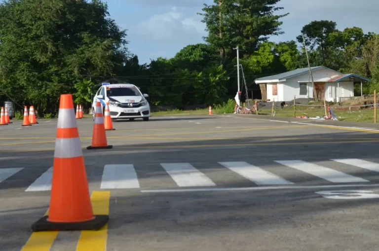 Driving Lessons and Learning To Drive
